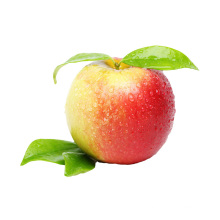 Fresh gala apple specifications